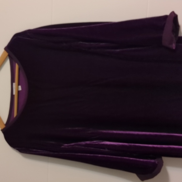 J.jill Luxurious Silk Blend Velvet Women's Tunic Top Holiday Sz 3X Boat Neck - Picture 5 of 10